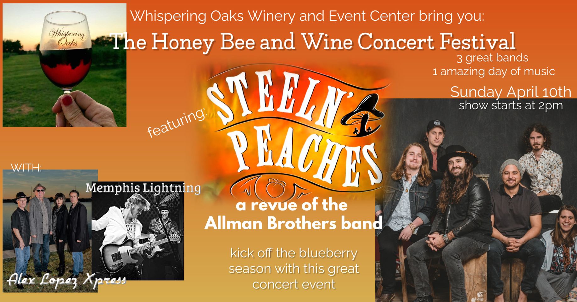 Honey Bee and Wine Concert